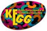 KEGG Drug logo
