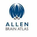 Allen Brain Atlas logo