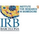 The IRB Barcelona Recruitment logo