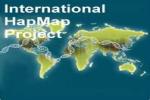 HapMap Project logo