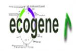 EcoGene (Escherichia coli DB) logo