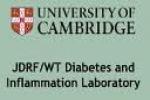 T1DBase diabetes logo