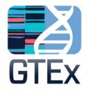 GTExPortal logo