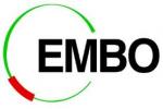 EMBO fellowship logo