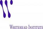 Whitehead Fellows Program logo