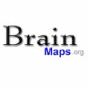 Brain Maps logo