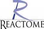 Reactome logo