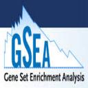 GSEA logo